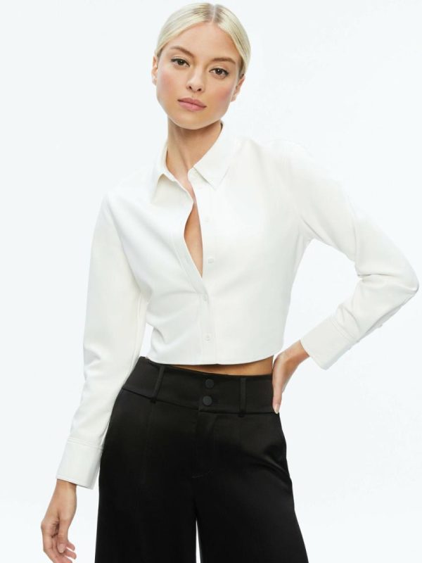 Newaim.shop4654cc6a46 1